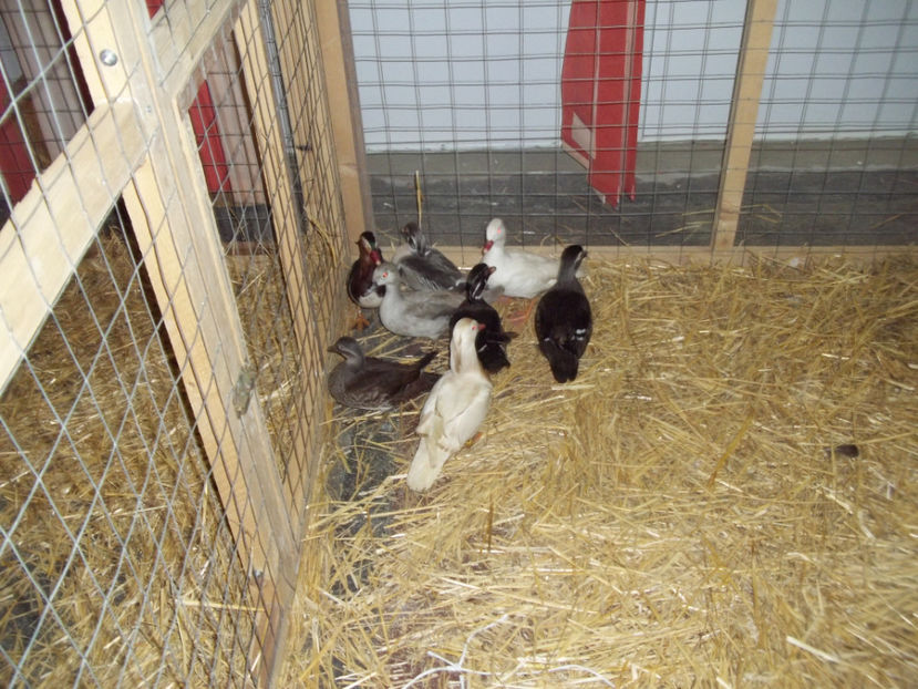  - Expo MEHEDINTI 2018