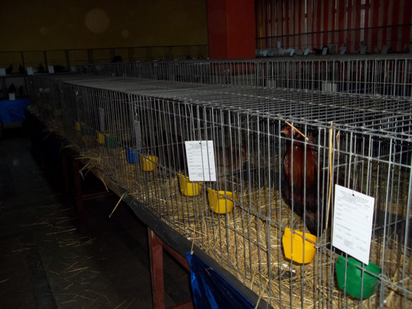  - Expo MEHEDINTI 2018