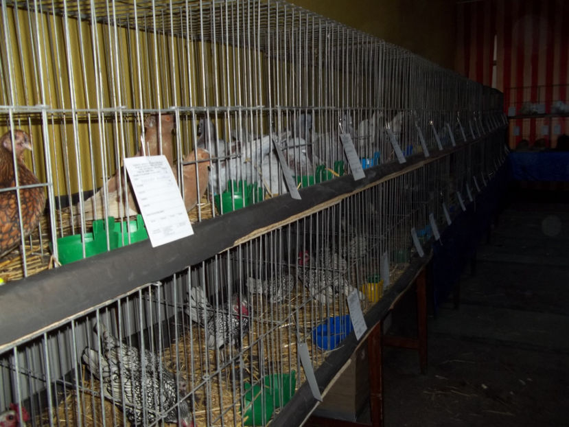  - Expo MEHEDINTI 2018