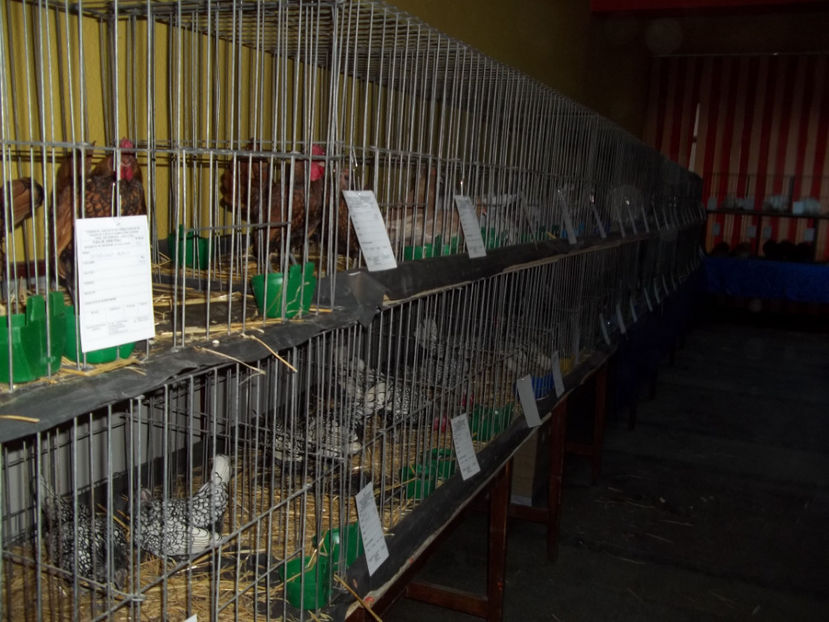  - Expo MEHEDINTI 2018