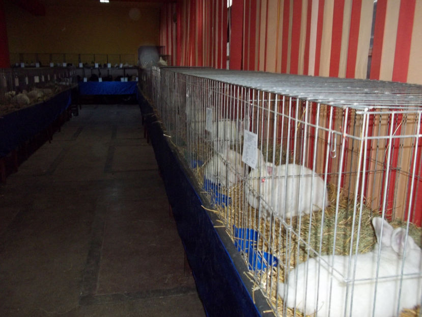  - Expo MEHEDINTI 2018