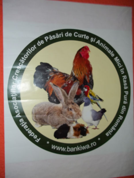  - Expo MEHEDINTI 2018