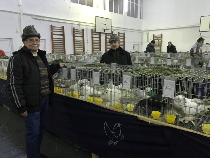  - Expozitia Colombofila din Bistrita Ianuarie 2018