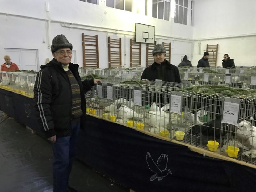  - Expozitia Colombofila din Bistrita Ianuarie 2018