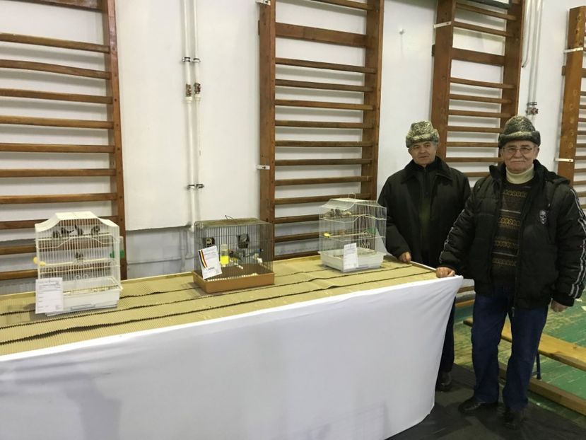  - Expozitia Colombofila din Bistrita Ianuarie 2018