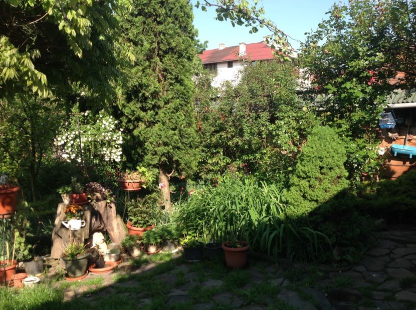  - arhiva cu gradina in timp