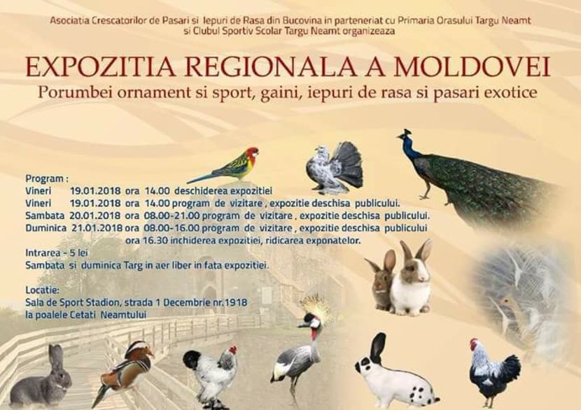  - T--TARGURI SI EXPOZITII