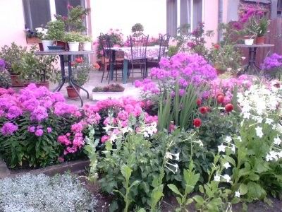  - Gradina mea