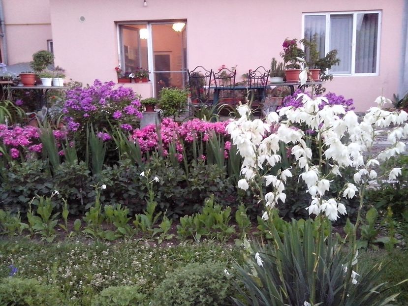  - Gradina mea