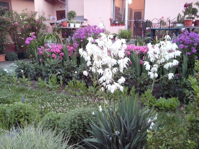  - Gradina mea
