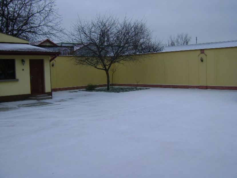 "Winter Is Coming" - v Iarna 2016-2017-2018