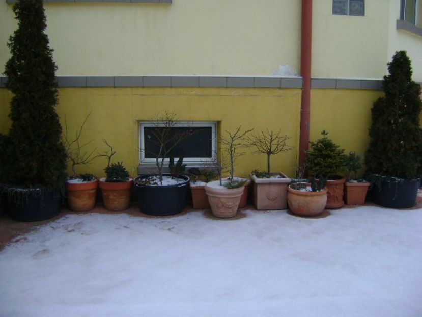 "Winter Is Coming" - v Iarna 2016-2017-2018