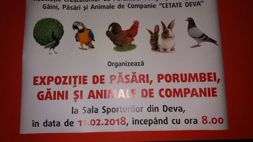 - ASOCIAȚIA CETATE DEVA ORGANIZEAZĂ EXPOZIȚIE JUDEȚEANĂ ŞI TÂRG DE PĂSĂRI SI ANIMALE MICI 2018
