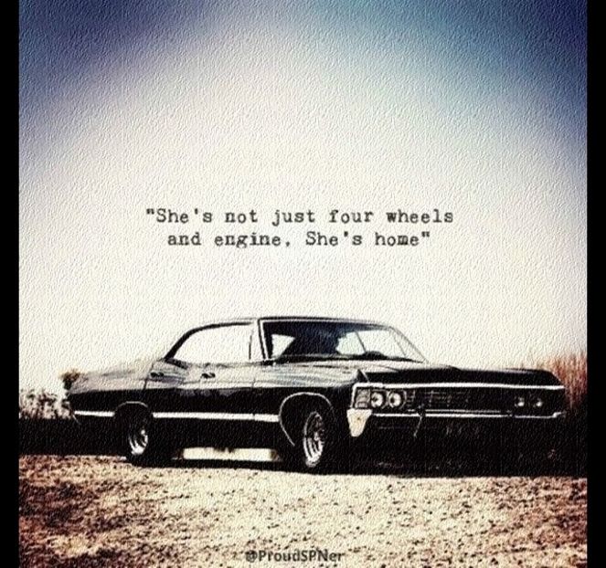 `⚝ 50th day │ ♪ bob seger - night moves ♪ - SPNfamily - always in my heart