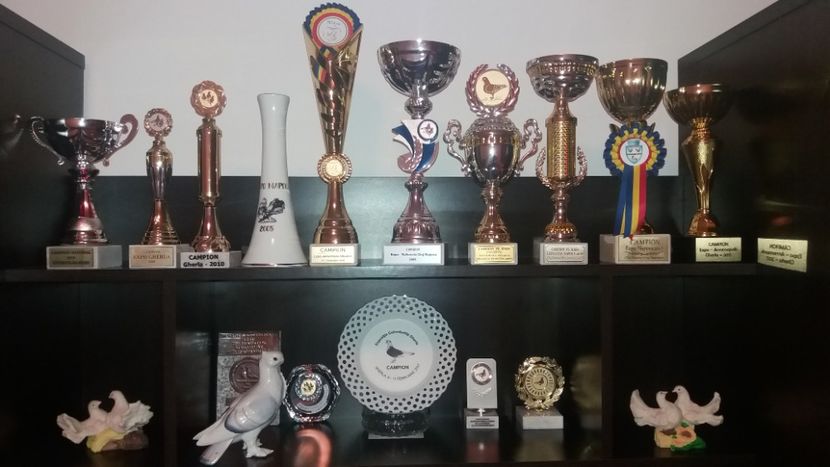  - CUPELE SI DIPLOMELE