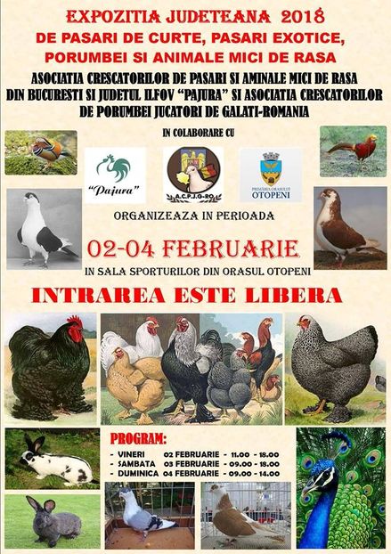 afis - Expo Pajura 2018