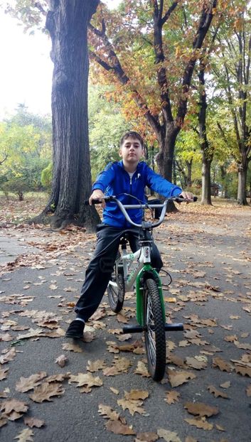 IMG-20171023-WA0019 - Mihai