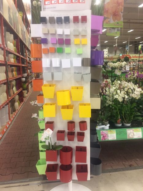 13.01.2018 cu magnet - Modele de Raft