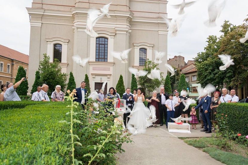 Biserica cu Lanturi - Eskuvoi feher galambok Szatmarnemeti