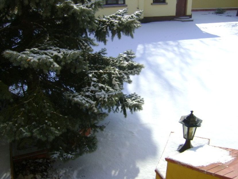 Prima zapada mai serioasa din iarna asta - v Iarna 2016-2017-2018