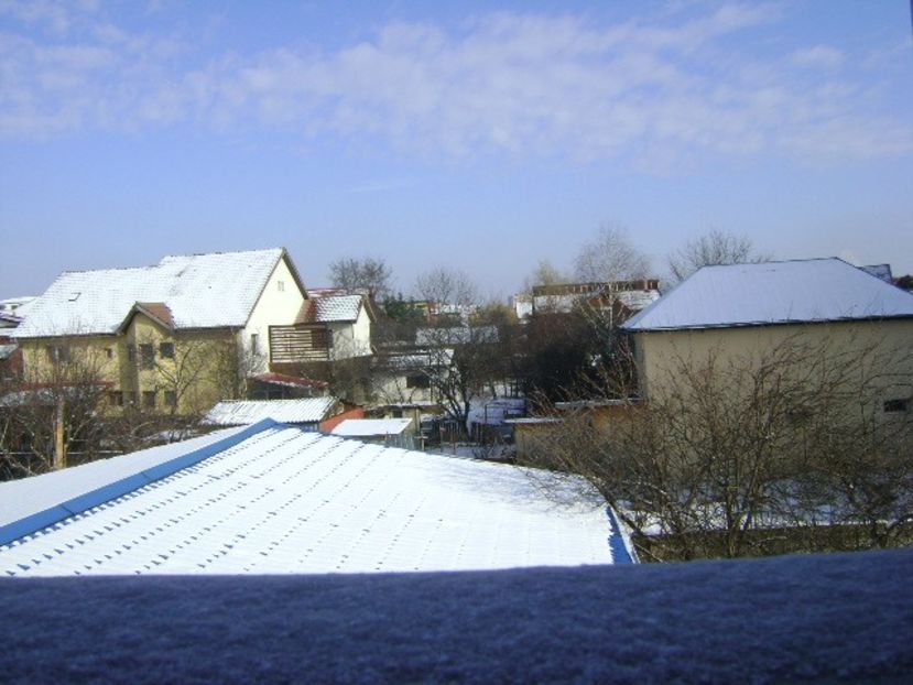 Prima zapada mai serioasa din iarna asta - v Iarna 2016-2017-2018