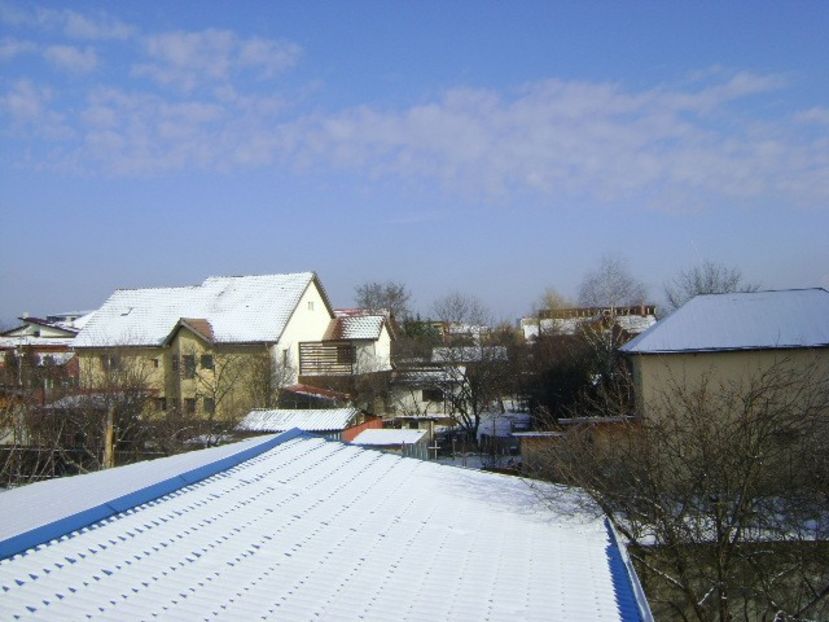 Prima zapada mai serioasa din iarna asta - v Iarna 2016-2017-2018