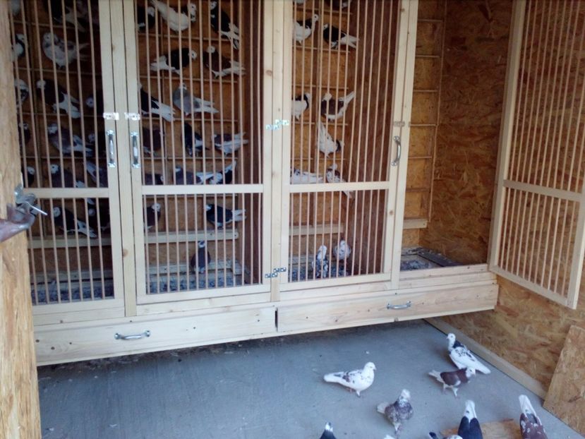  - ROLLER DE BIRMINGHAM LINIA HEINE BIJKER -HENRI SMITH