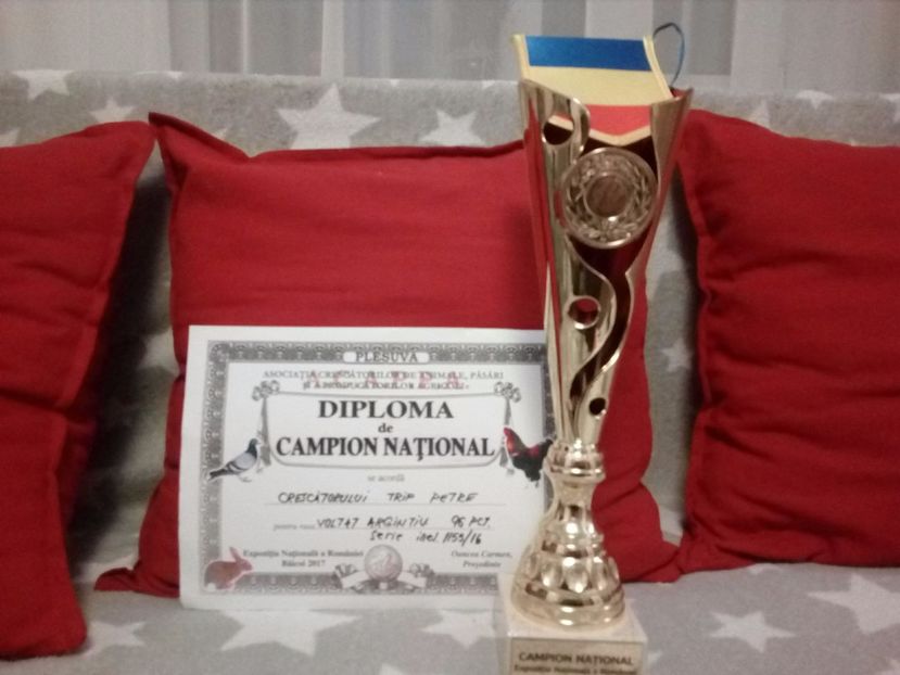  - FIUL MEU VLADUT