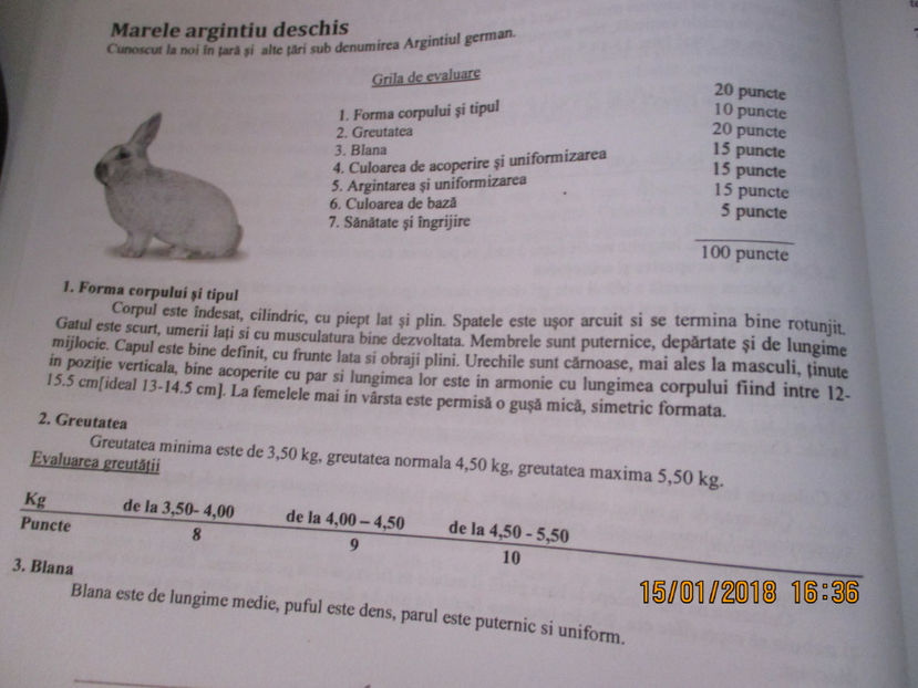  - MARELE ARGINT descrierea rasei