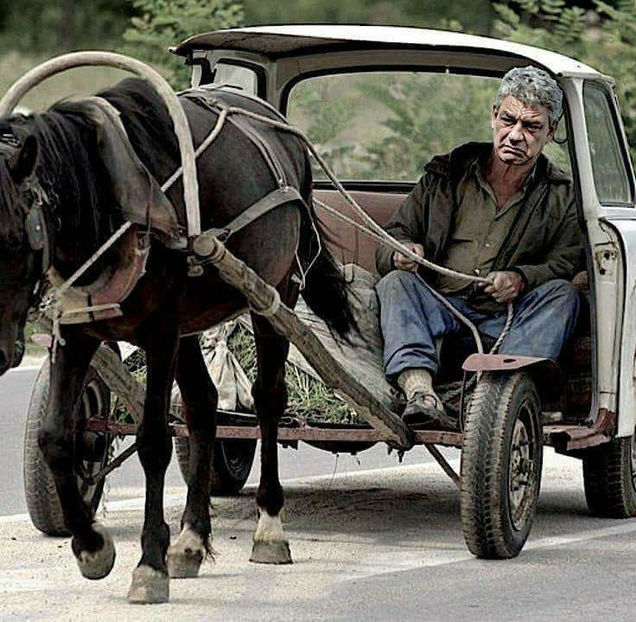  - Poze haioase pamflet