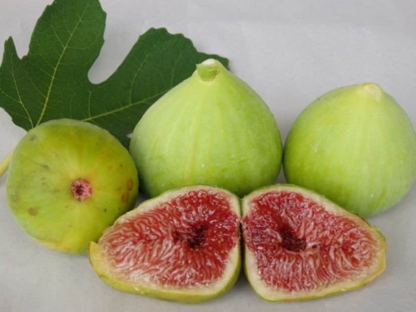 Smochin verde romanesc -  fructe - Smochin verde romanesc