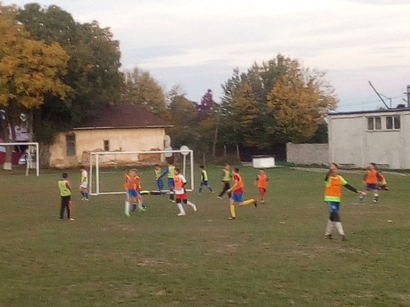  - ocupatia mea de baza