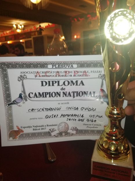  - EXPO NATIOALA BAICOI 2017