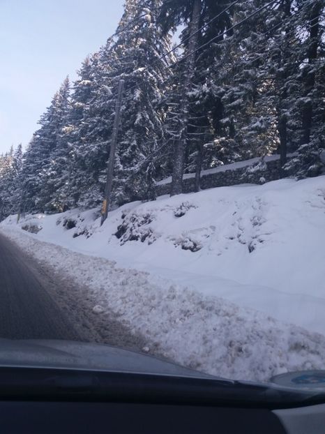  - 2017 RANCA