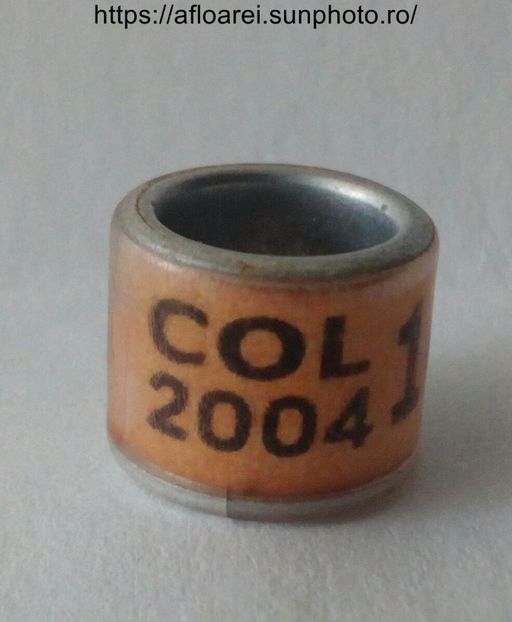 COL 2004 - COLUMBIA-COL