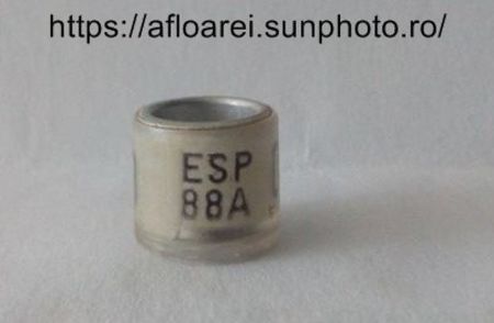ESP 88A - SPANIA-ESP