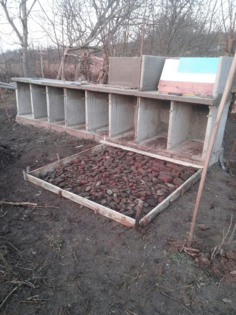 Cuibare +loc pentru puișori +loc pentru gâștele mature peste noapte - Lucrări 2018