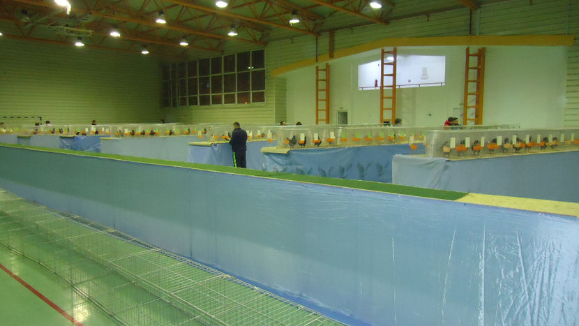 Copy of DSC04668 - Expo Marghita Dec 2017