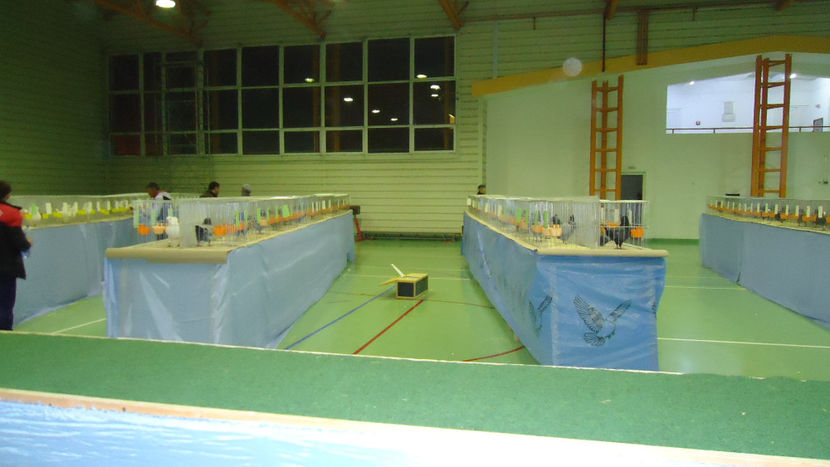  - Expo Marghita Dec 2017