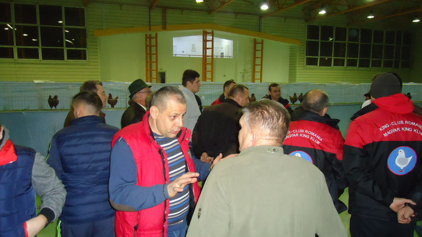  - Expo Marghita Dec 2017