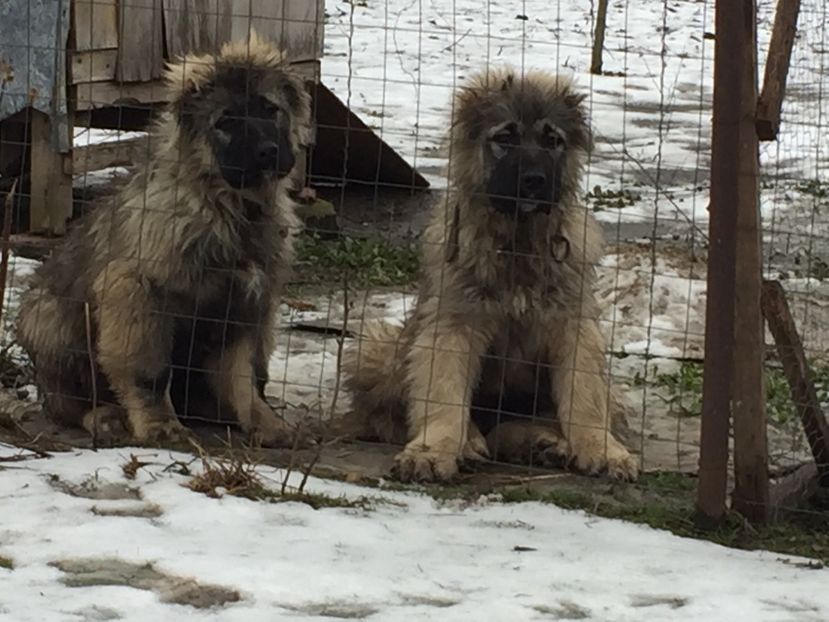 Doar unul este al meu - 0-contact