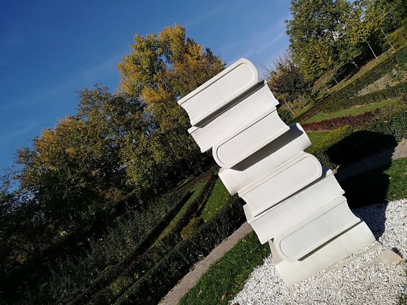  - 2017 SINAIA MIHNEA