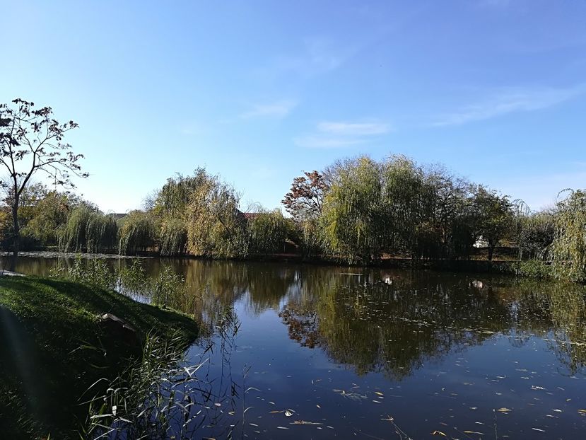  - 2017 SINAIA MIHNEA