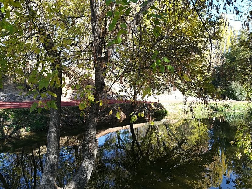  - 2017 SINAIA MIHNEA