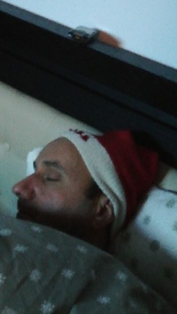  - 2017 SINAIA MIHNEA