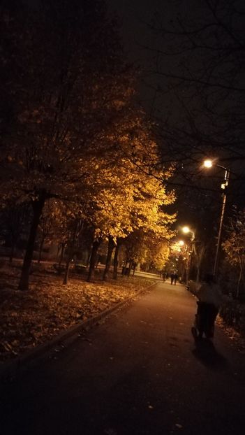  - 2017 SINAIA MIHNEA