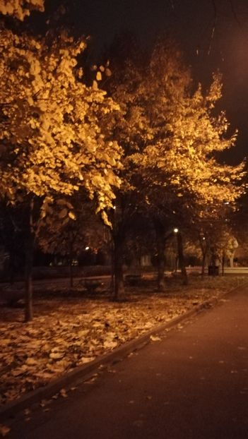  - 2017 SINAIA MIHNEA