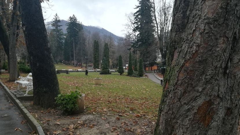  - 2017 SINAIA MIHNEA