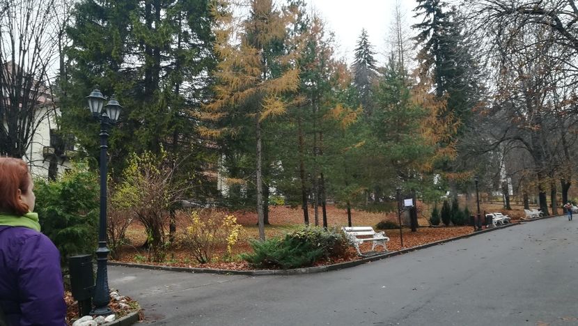  - 2017 SINAIA MIHNEA