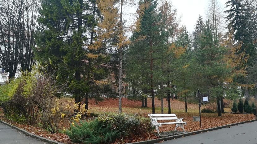  - 2017 SINAIA MIHNEA